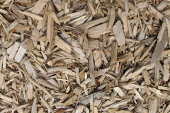 biomass boilers Bronant