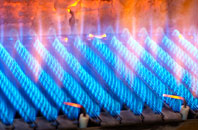 Bronant gas fired boilers
